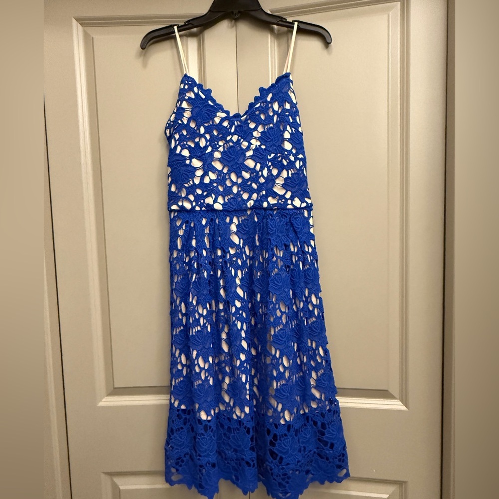 Alexia Admor Royal Blue Lace Detail